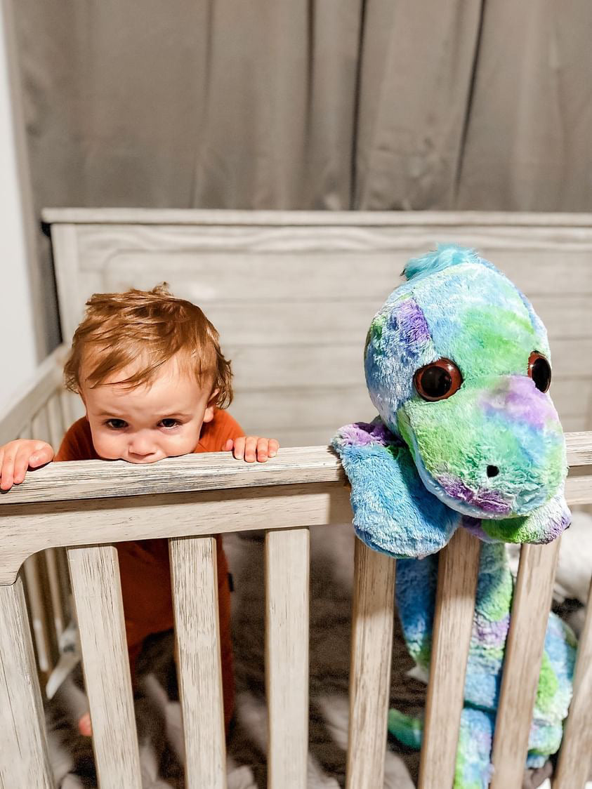 Dinosaur PillowPalz