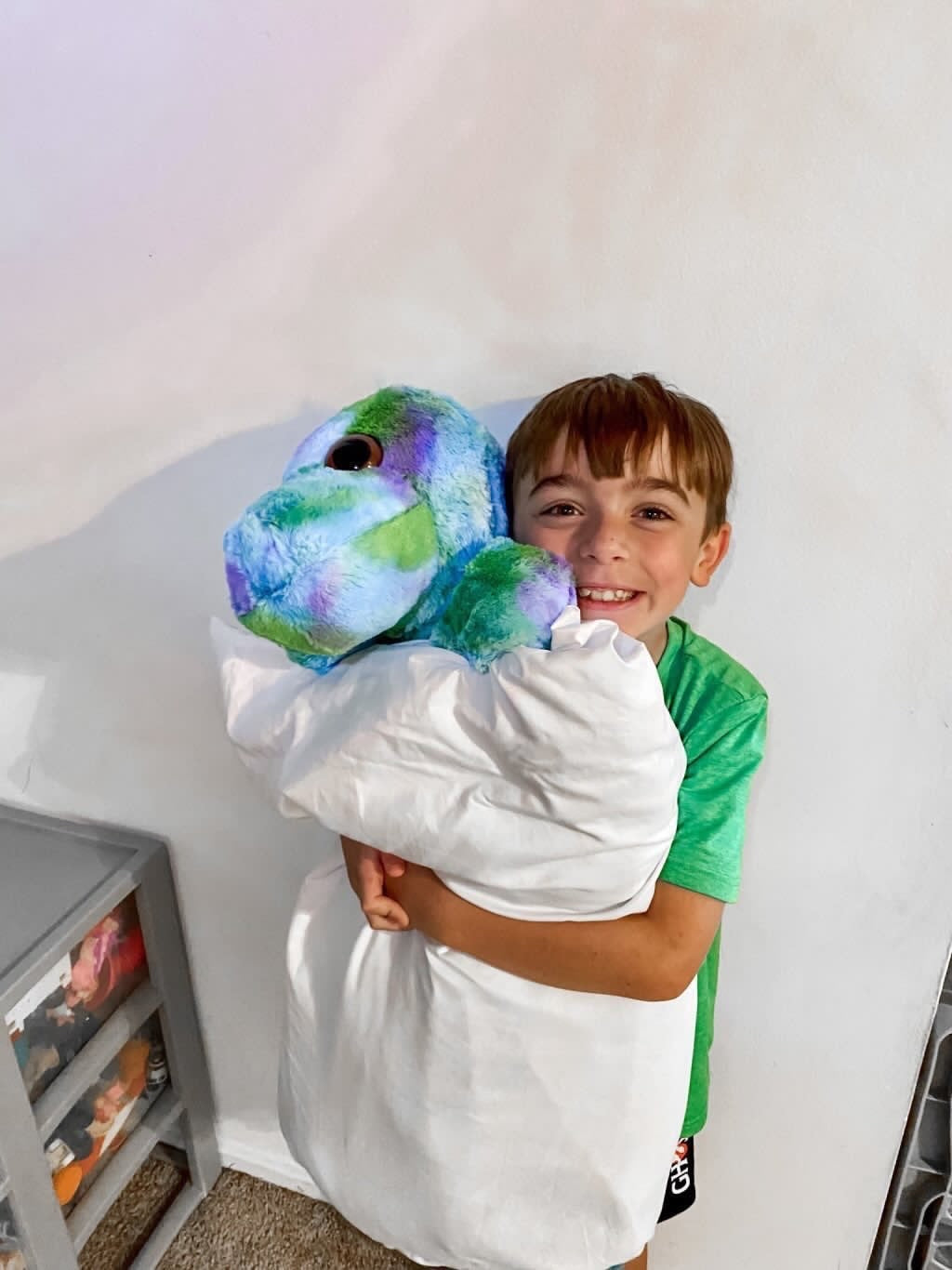 Dinosaur PillowPalz