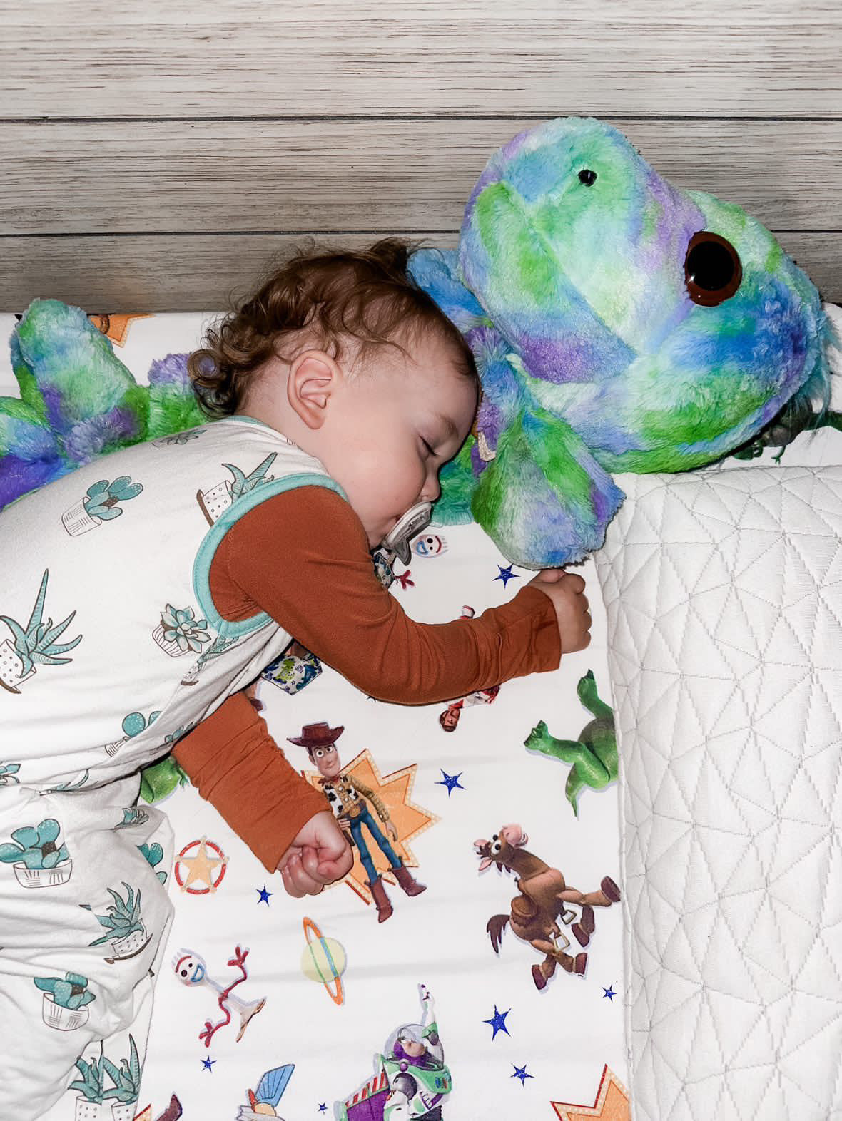 Dinosaur PillowPalz