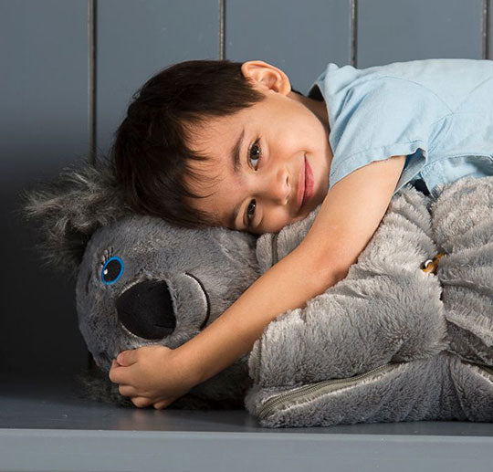 Koala Buddy