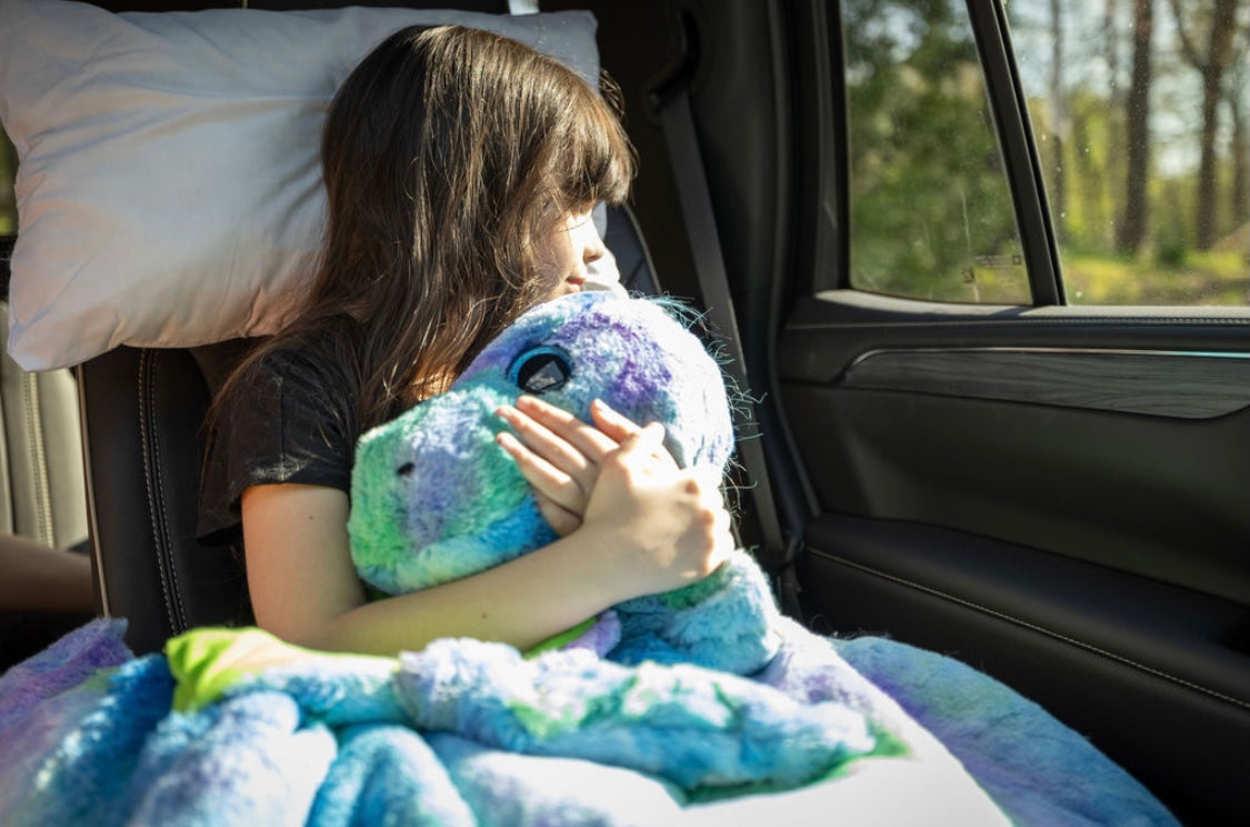 Seat to Sleep - Kids Travel Pillow Review - Baby Can Travel