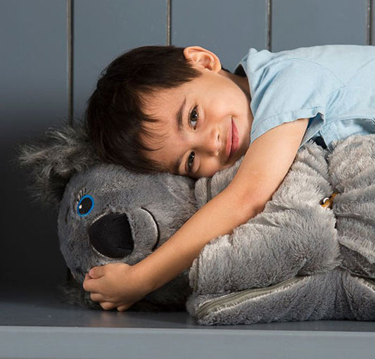 Koala Buddy